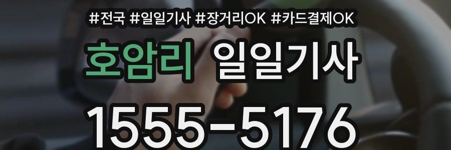 호암리 일일기사