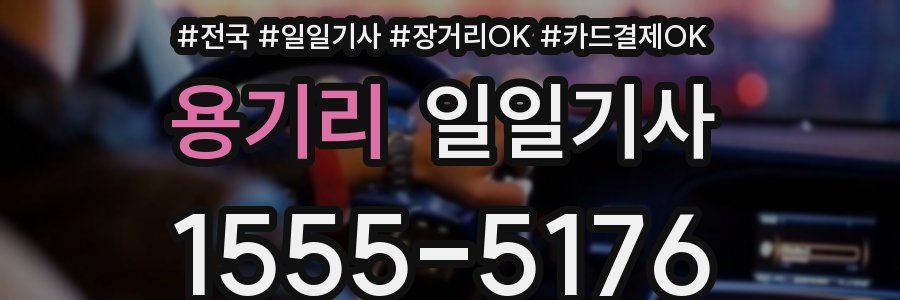 용기리 일일기사