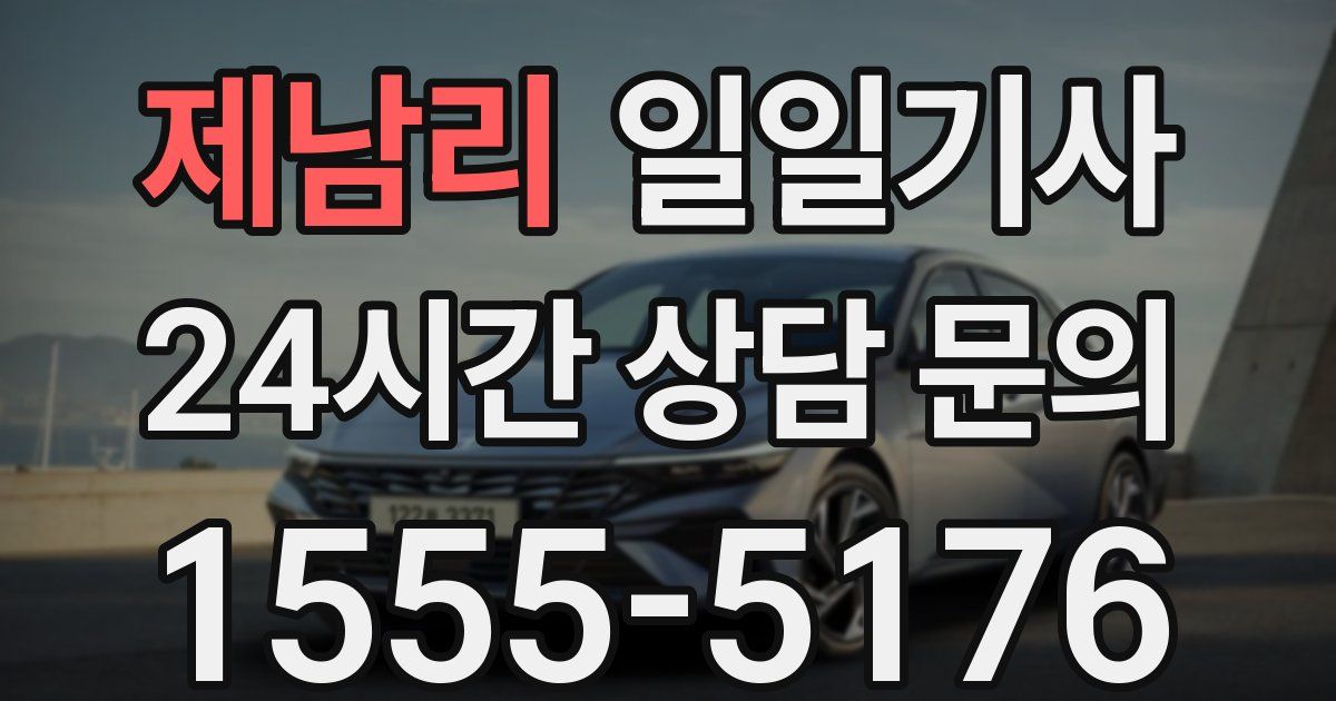 일일대리기사
