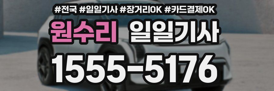 원수리 일일기사