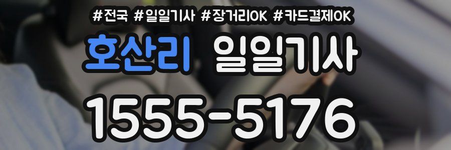 호산리 일일기사