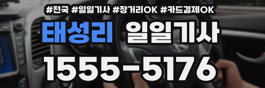 태성리 일일기사