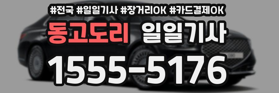 동고도리 일일기사