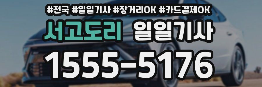 서고도리 일일기사