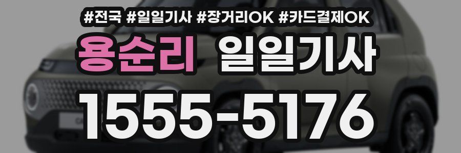 용순리 일일기사