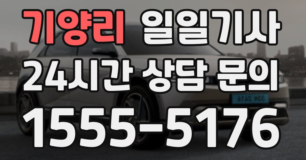 일일대리기사