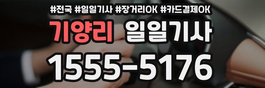 기양리 일일기사