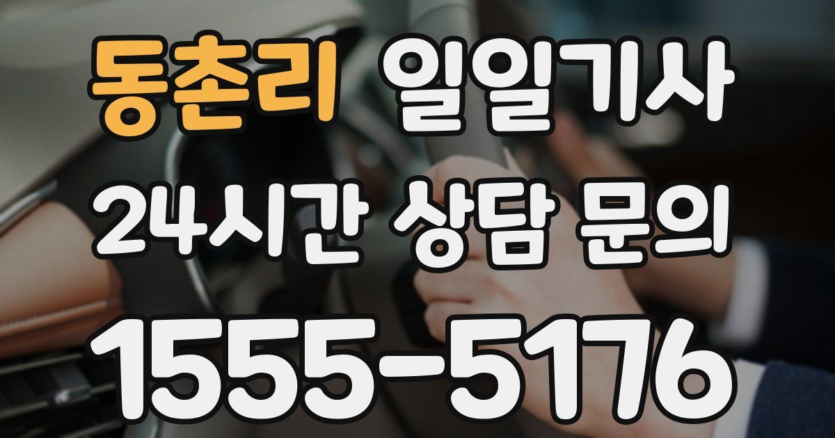 일일대리기사