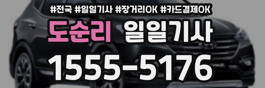 도순리 일일기사