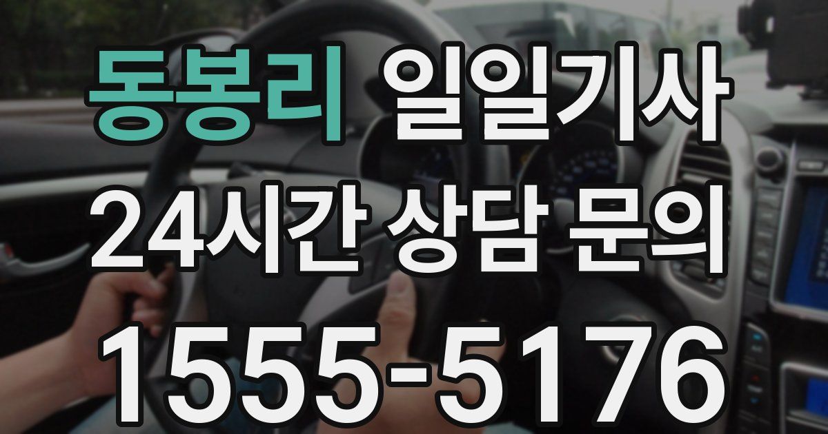 일일대리기사