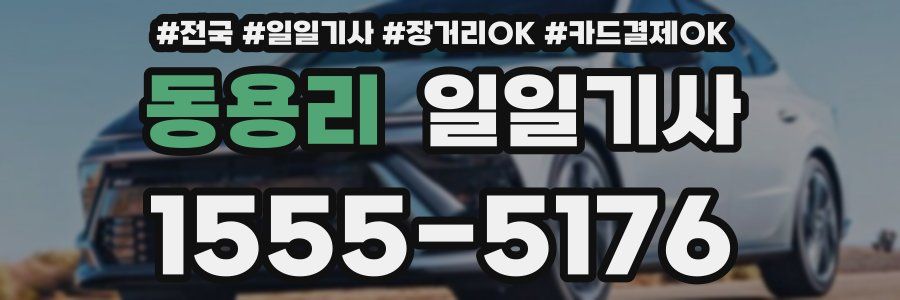 동용리 일일기사