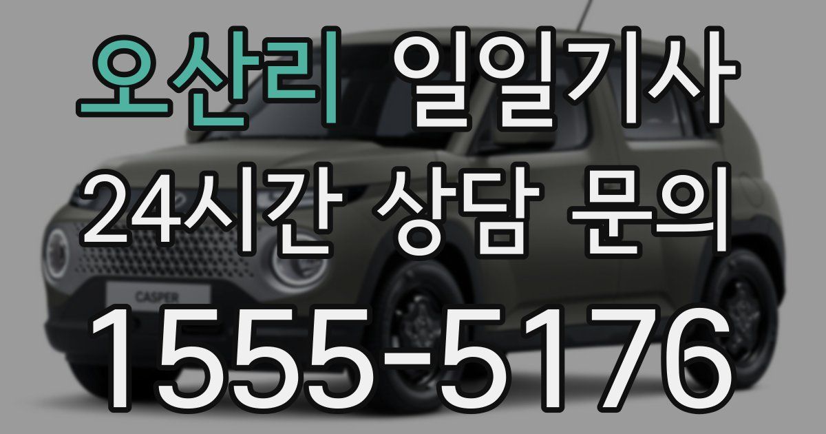 일일대리기사