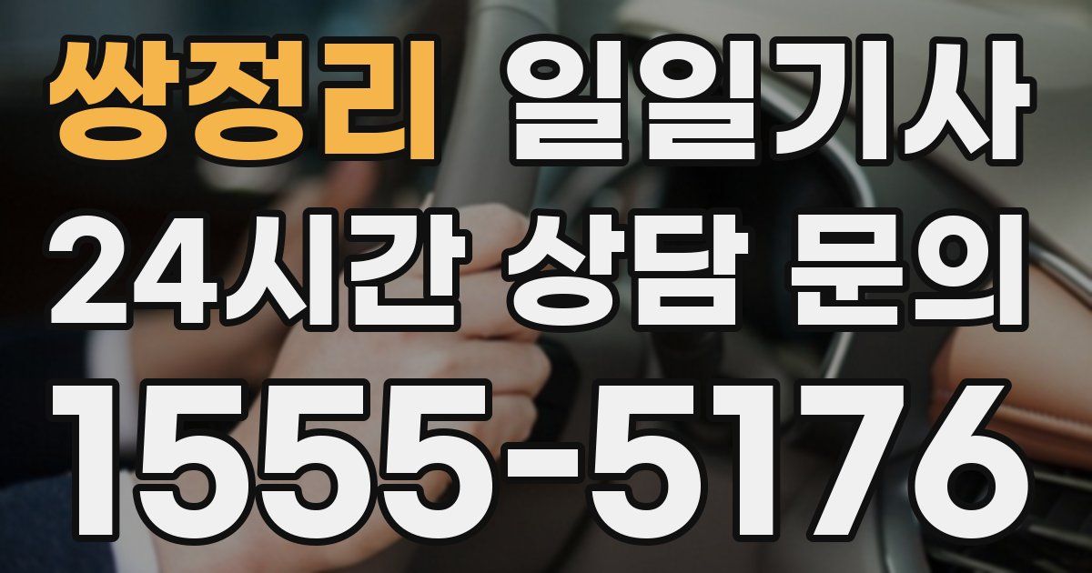 일일대리기사