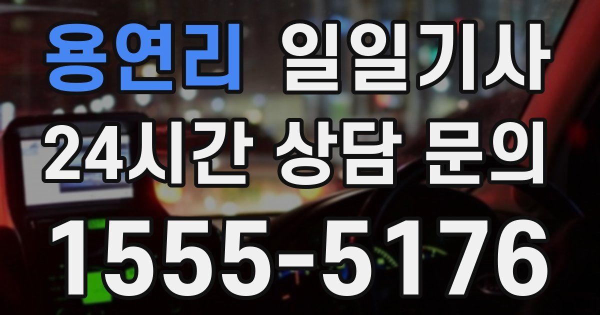 일일대리기사