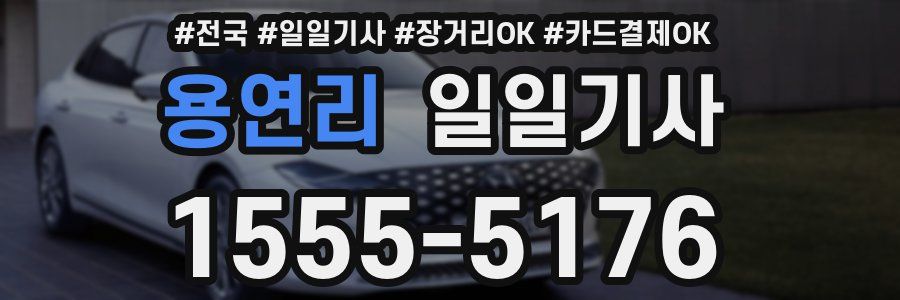 용연리 일일기사