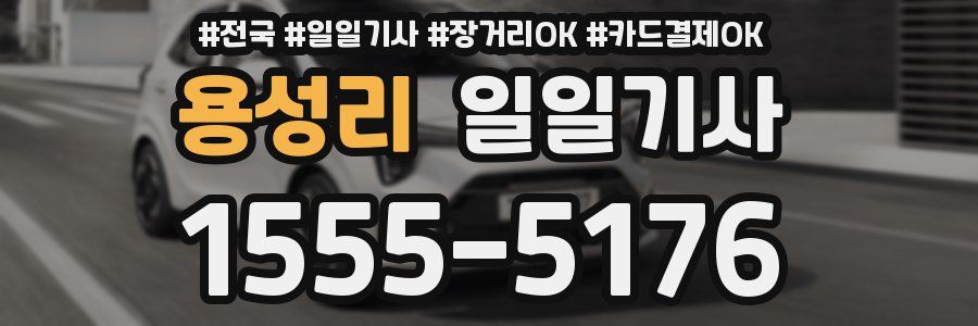 용성리 일일기사