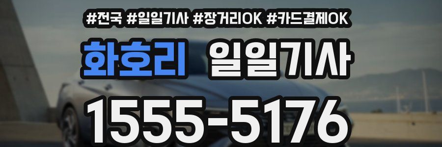 화호리 일일기사