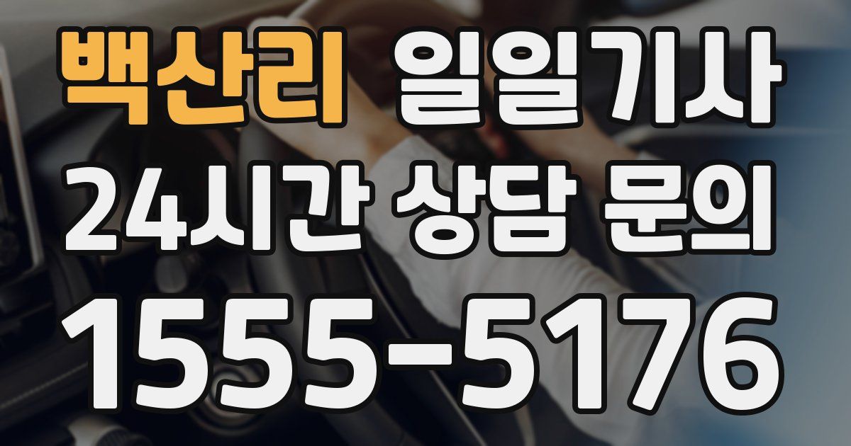 일일대리기사