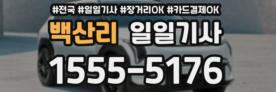 백산리 일일기사