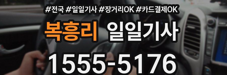 복흥리 일일기사