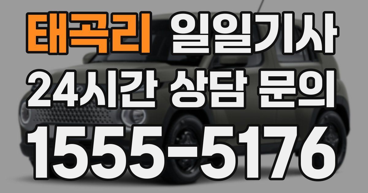 일일대리기사