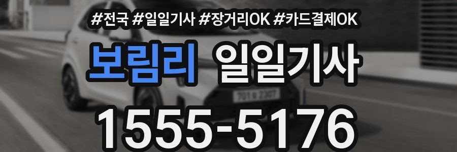 보림리 일일기사