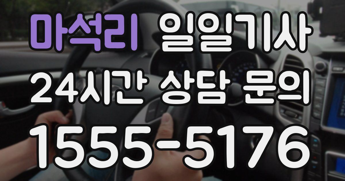 일일대리기사