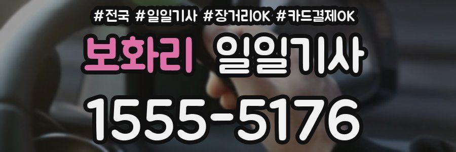 보화리 일일기사