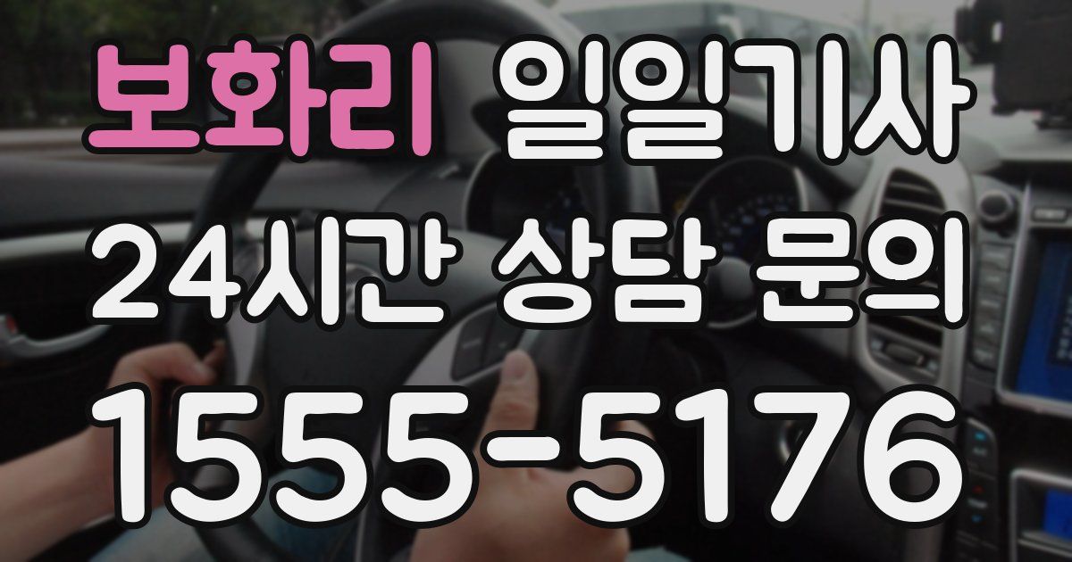 일일대리기사