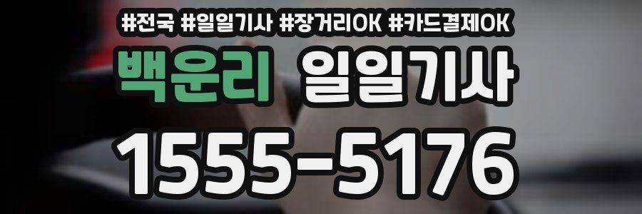 백운리 일일기사