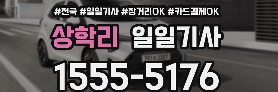 상학리 일일기사