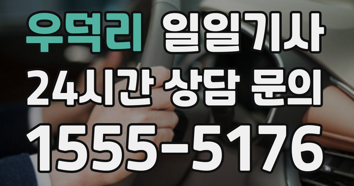 일일대리기사