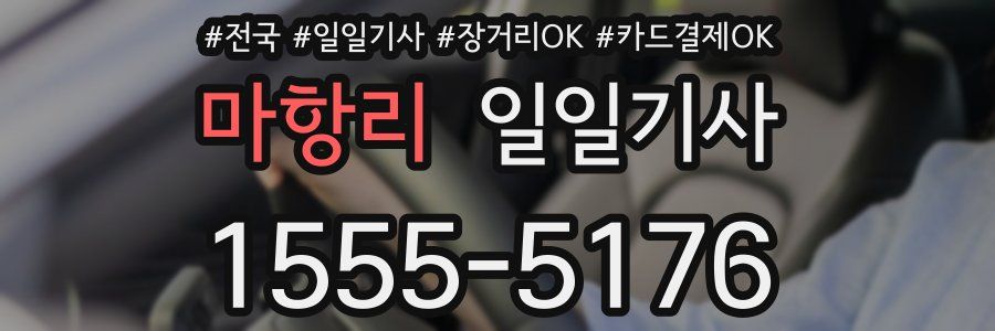 마항리 일일기사