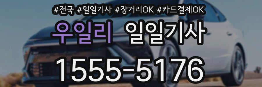 우일리 일일기사