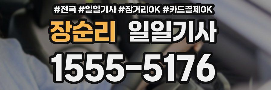 장순리 일일기사