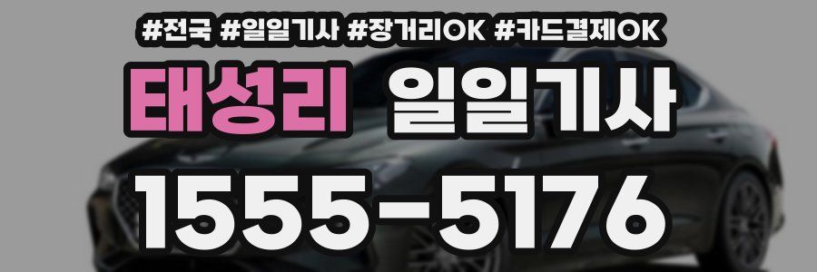 태성리 일일기사