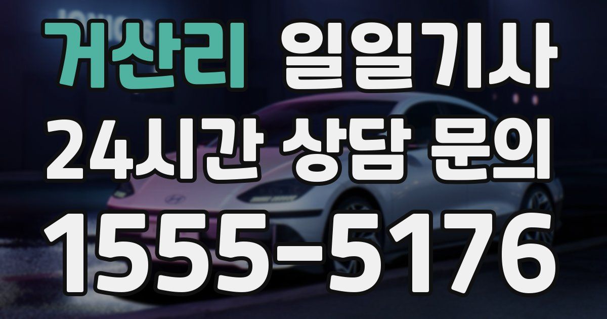 일일대리기사