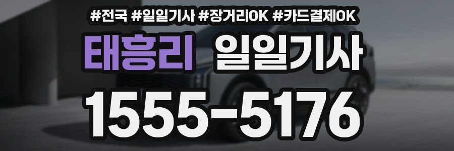 태흥리 일일기사