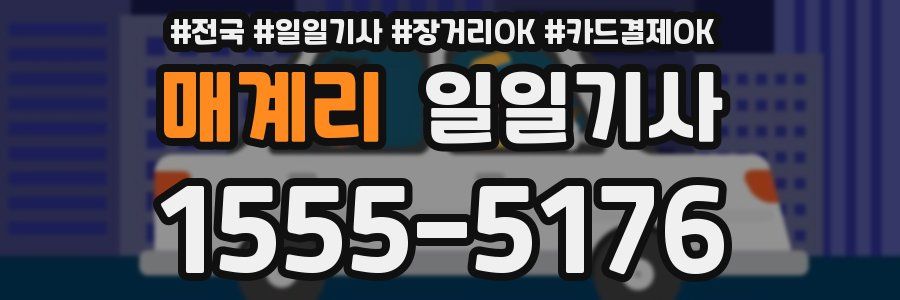 매계리 일일기사