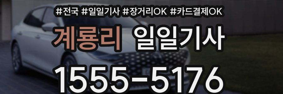 계룡리 일일기사