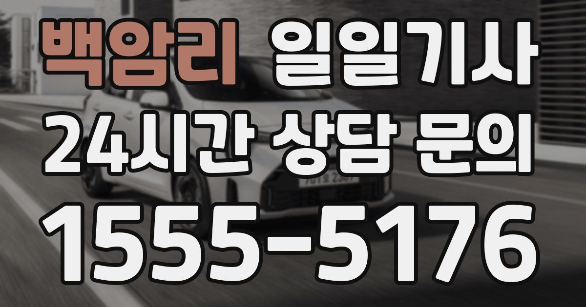 일일대리기사