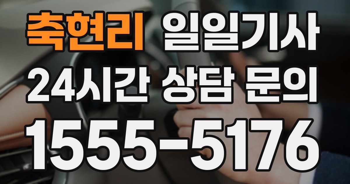 일일대리기사