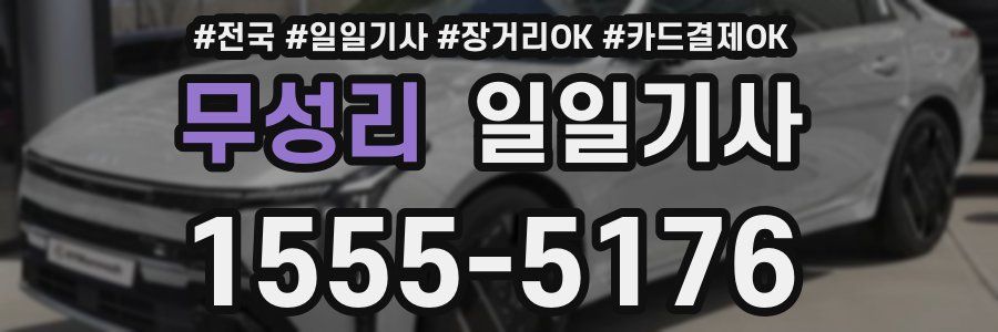 무성리 일일기사