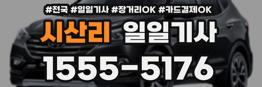 시산리 일일기사