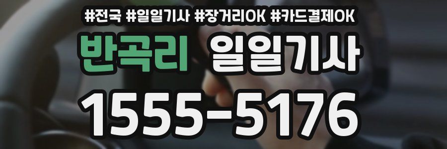 반곡리 일일기사