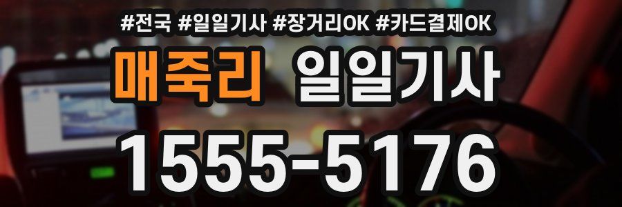 매죽리 일일기사