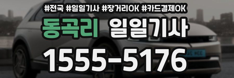 동곡리 일일기사