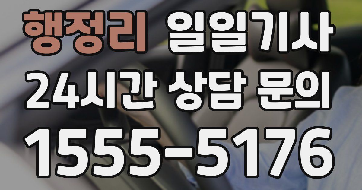 일일대리기사