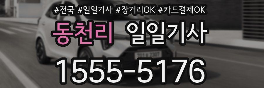 동천리 일일기사