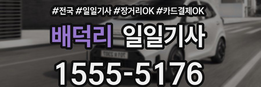 배덕리 일일기사